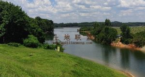 儋州500亩短期旱田地出租水源充足交通便利