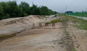 文昌300亩林地交通便利租金可以分期付款