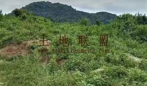 昌江200亩一般耕地水源充足交通便利