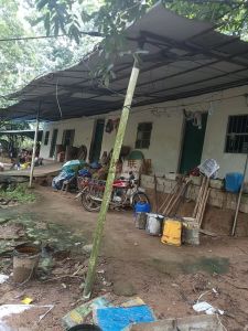 五指山237亩林地租金100元/亩/年