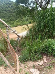 乐东60亩林地租金可以十年一付交通便利