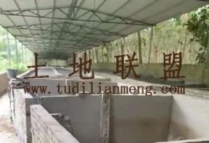 临高100亩种、养殖地转让设施齐全交通便利