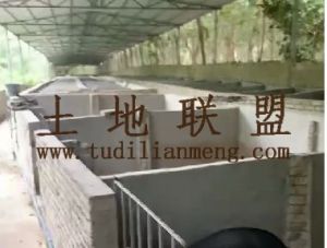 临高23亩猪圈出租水电设施齐全可以一年一付