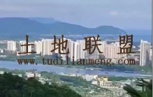 万宁107亩林地环境优美交通便利