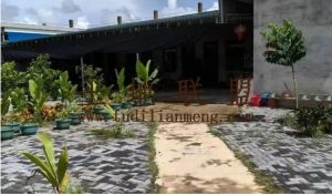 海口美兰区140亩榴莲蜜园转让租金已付清