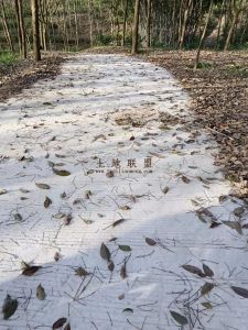 白沙33亩林地有林权证转让费只需35万