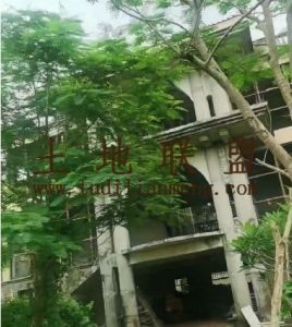 海口江东新区转让1亩宅基地送24亩林地