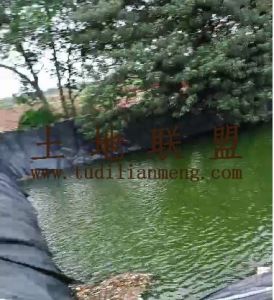 海口美兰区73亩基本农田出租设施齐全可以随时进场