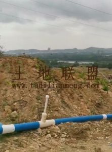 东方286亩林地设施齐全可以随时进场耕种