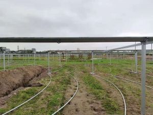 海口秀英区20亩基本农田短期出租可以一年一付