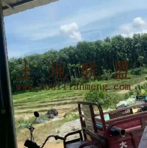 万宁50亩短期种植地短期出租设施齐全