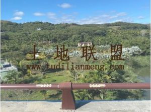 五指山4亩林地出租位置优越环境优美