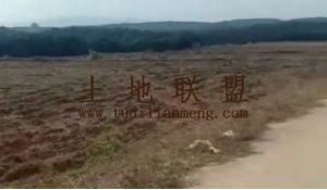 陵水600亩短期种植地水电设施齐全租金一年一付