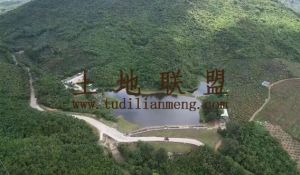 三亚61亩种养殖地20年合同租金已付清交通便利