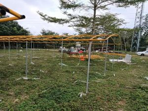 文昌50亩种植养殖地转让价格便宜