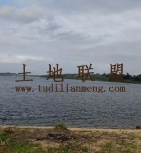 琼海12亩临近水库林地有林权证租金200元一亩