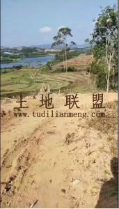 陵水27亩园地环境依山傍水租金可以五年一付