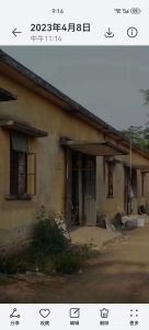 陵水98亩林地农场地可以更名租金300元/亩/年