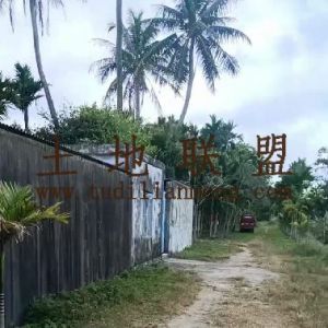 万宁2亩宅基地出租环境清幽舒适生活便利