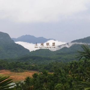 万宁50亩水库边槟榔园转让农场地可以更名