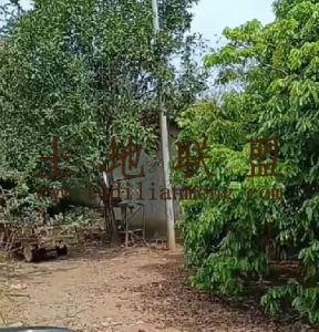 琼中与儋州交界处2000亩种植地交通便利价格便宜