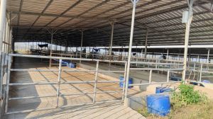 万宁21亩种养殖地转让可以永久使用没有租金