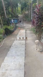 保亭8亩槟榔园带一栋150平米平房转让