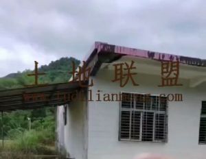 万宁8亩自留地环境清幽舒适交通便利转让费42万