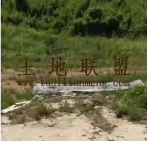 五指山160亩林短期出租水电设施齐全交通便利