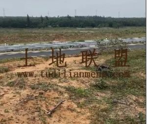 文昌100亩临县道公路边林地租金可以十年一付