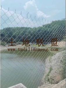 白沙36亩菠萝蜜园租金300元/亩/年转让费65万