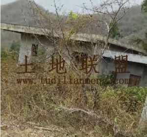 临高22亩种养殖地转让位置优越交通方便