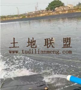 昌江10亩咸水塘出租设施齐全租金一年一付