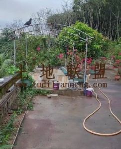 琼海34亩槟榔园转让农场地可以更名租金120元/亩/年