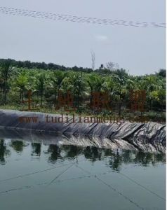 琼山70亩果园转让设施齐全接手管理就有收益