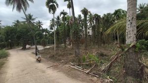 陵水840平米宅基地环境清幽舒适