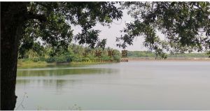 澄迈120亩水库交通便利租金可以一年一付