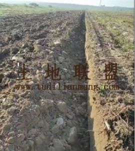 儋州398亩基本农田短期出租土壤肥沃交通便利