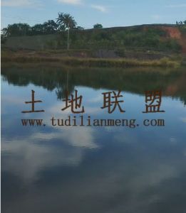 琼海30亩鱼塘送一个猪圈交通便利非常适合养殖