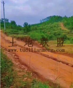 乐东40亩林地转让交通便利适合种植榴莲