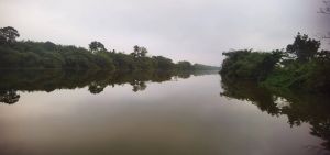 儋州1300亩鱼塘出租交通便利租金700元/亩/年