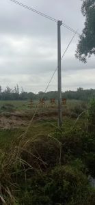 文昌800亩林地租金380元/亩/年十年一付