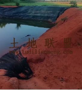 文昌207亩林地租金530元/亩/年十年一付