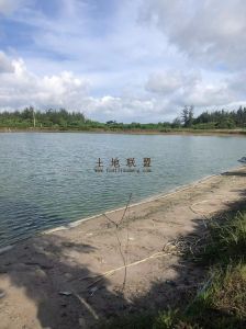 陵水50亩鱼塘出租设施齐全交通便利