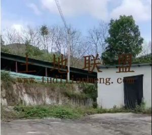 屯昌23亩林地带3000平米猪圈手续证件齐全租金五年一付