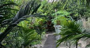 保亭县城周边6亩庄园环境舒适农场地可以更名