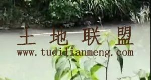 乐东30亩林地土壤肥沃水源充足交通便利