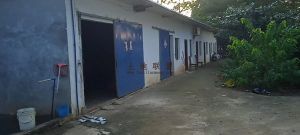 临高23亩养殖地出租设施齐全接手就可以经营