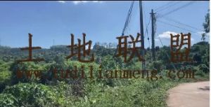 保亭800亩林地水电房设施齐全农场地可以更名租金300元/亩/年