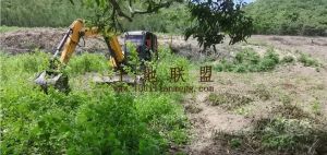 东方90亩套种短期地出租水电齐全租金600元/亩/年